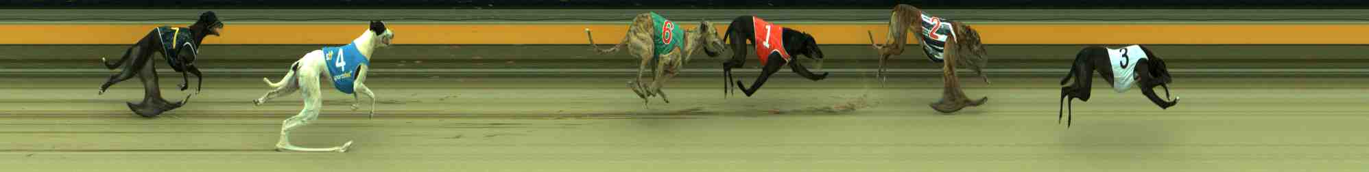 Race result finish photo